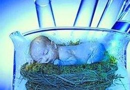 囊胚第十天没强阳是什么意思？